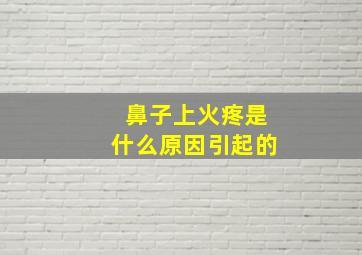 鼻子上火疼是什么原因引起的