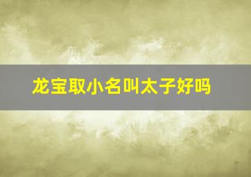 龙宝取小名叫太子好吗