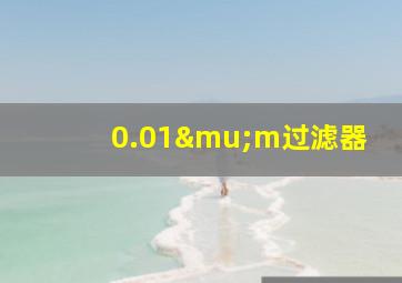 0.01μm过滤器