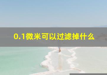 0.1微米可以过滤掉什么