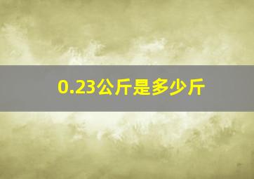 0.23公斤是多少斤