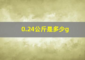 0.24公斤是多少g