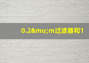 0.2μm过滤器和1