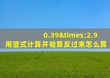 0.39×2.9用竖式计算并验算反过来怎么算