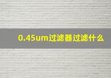 0.45um过滤器过滤什么