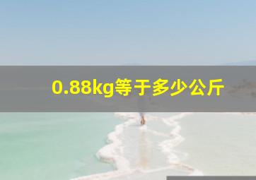 0.88kg等于多少公斤