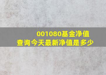 001080基金净值查询今天最新净值是多少