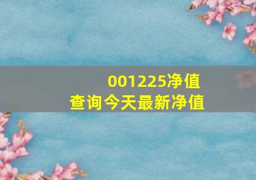 001225净值查询今天最新净值