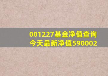 001227基金净值查询今天最新净值590002