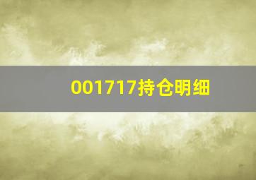 001717持仓明细