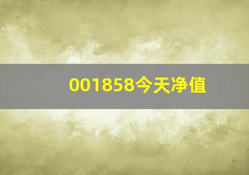 001858今天净值