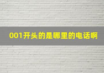 001开头的是哪里的电话啊