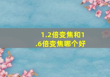 1.2倍变焦和1.6倍变焦哪个好