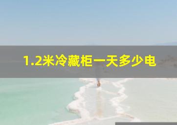 1.2米冷藏柜一天多少电