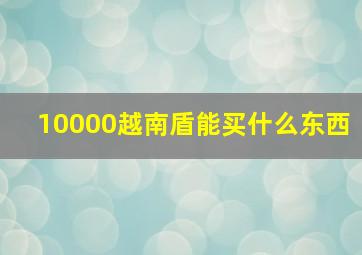 10000越南盾能买什么东西