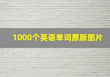 1000个英语单词原版图片