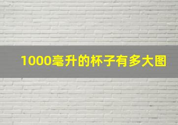 1000毫升的杯子有多大图