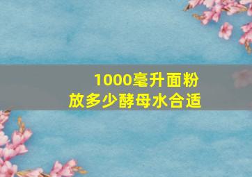 1000毫升面粉放多少酵母水合适