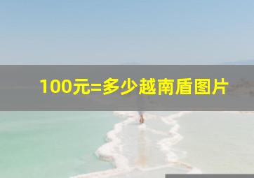 100元=多少越南盾图片