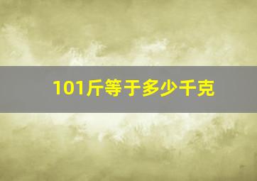 101斤等于多少千克