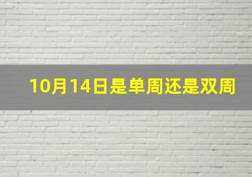 10月14日是单周还是双周