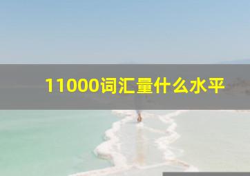 11000词汇量什么水平