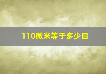 110微米等于多少目