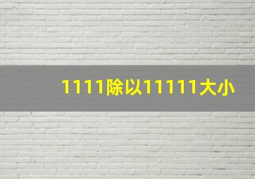 1111除以11111大小