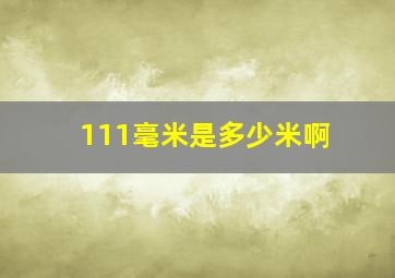 111毫米是多少米啊