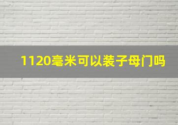 1120毫米可以装子母门吗