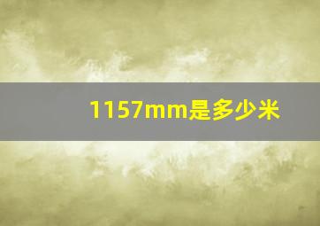 1157mm是多少米