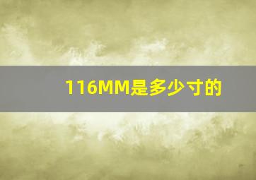 116MM是多少寸的