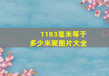 1183毫米等于多少米呢图片大全