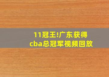 11冠王!广东获得cba总冠军视频回放