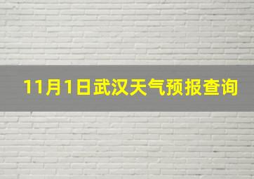 11月1日武汉天气预报查询