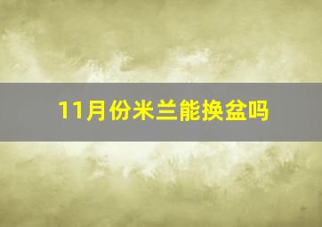 11月份米兰能换盆吗