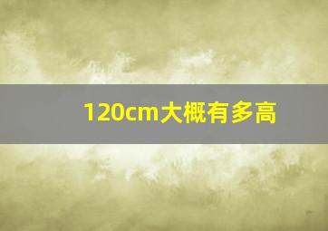 120cm大概有多高