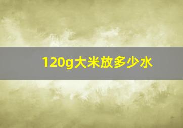 120g大米放多少水