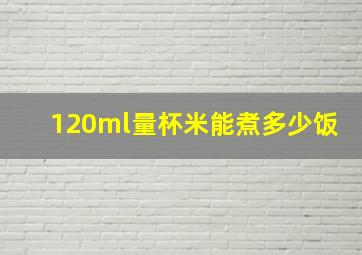 120ml量杯米能煮多少饭