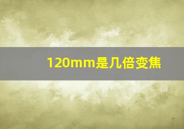 120mm是几倍变焦