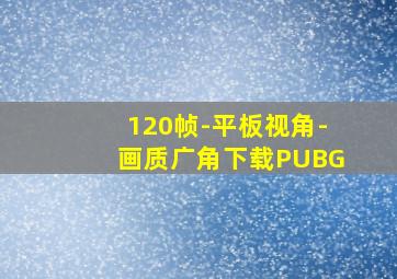 120帧-平板视角-画质广角下载PUBG