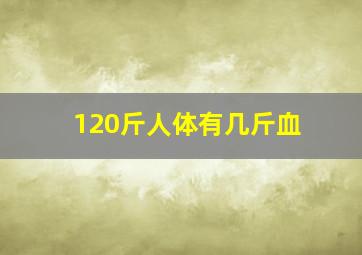 120斤人体有几斤血