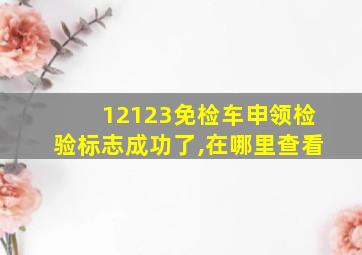 12123免检车申领检验标志成功了,在哪里查看