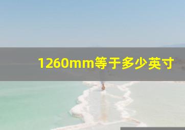 1260mm等于多少英寸