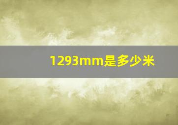 1293mm是多少米