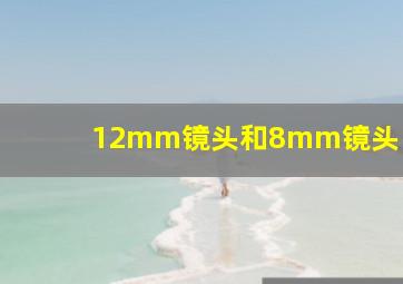 12mm镜头和8mm镜头