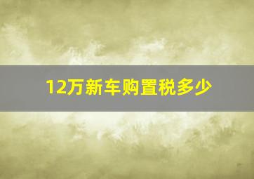 12万新车购置税多少