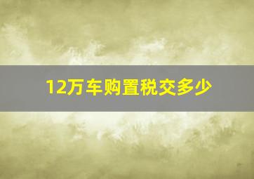 12万车购置税交多少