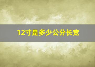 12寸是多少公分长宽