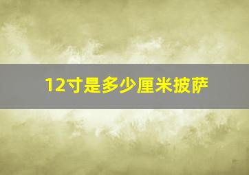 12寸是多少厘米披萨